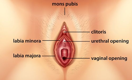 Watch man stimulate clitoris