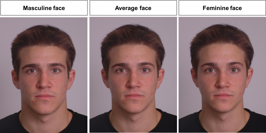 Feminine facial features