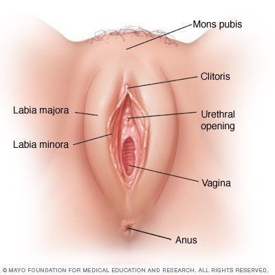 Fingers into my vagina