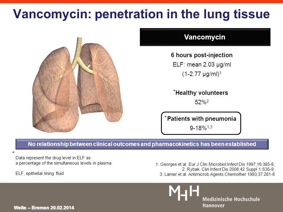 best of Lung penetration Vancomycin