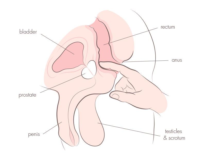 Ejaculating inside anus