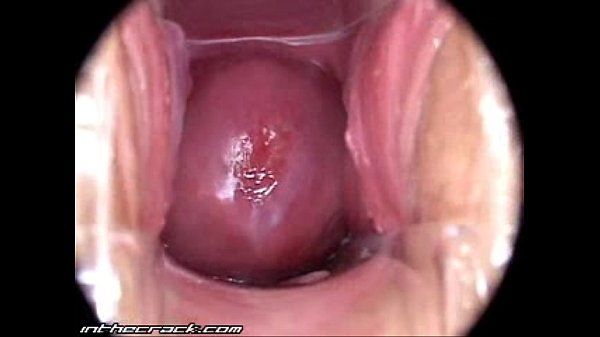 Penis Inside Vagina During Intercourse Pussy Sex Images