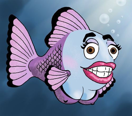 Agent 9. reccomend Fish with tits