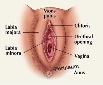 Watch man stimulate clitoris