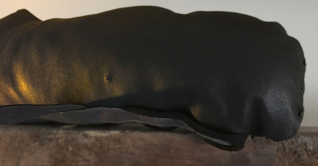 Jasper reccomend Sperm whale used for leather