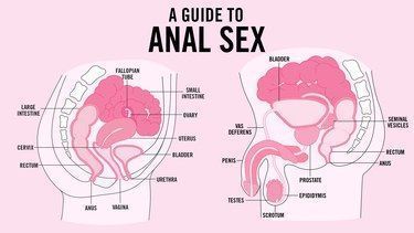 Anal stimulation during intercourse