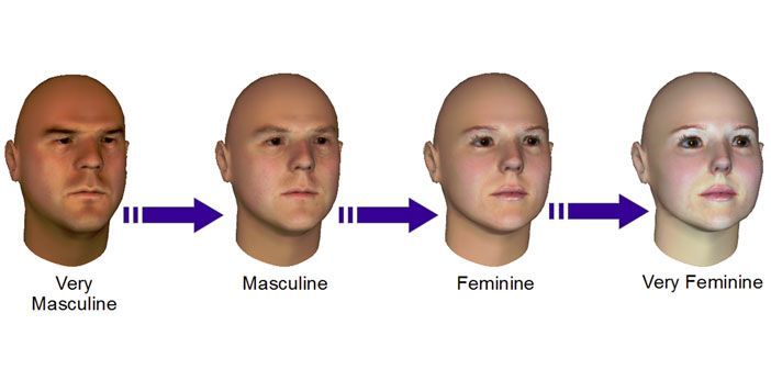Relay reccomend Feminine facial features