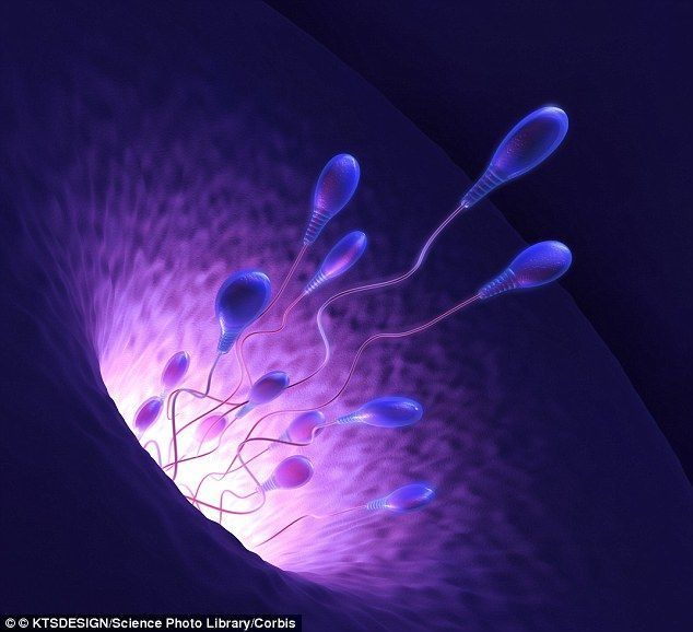 best of Sperm Male picture