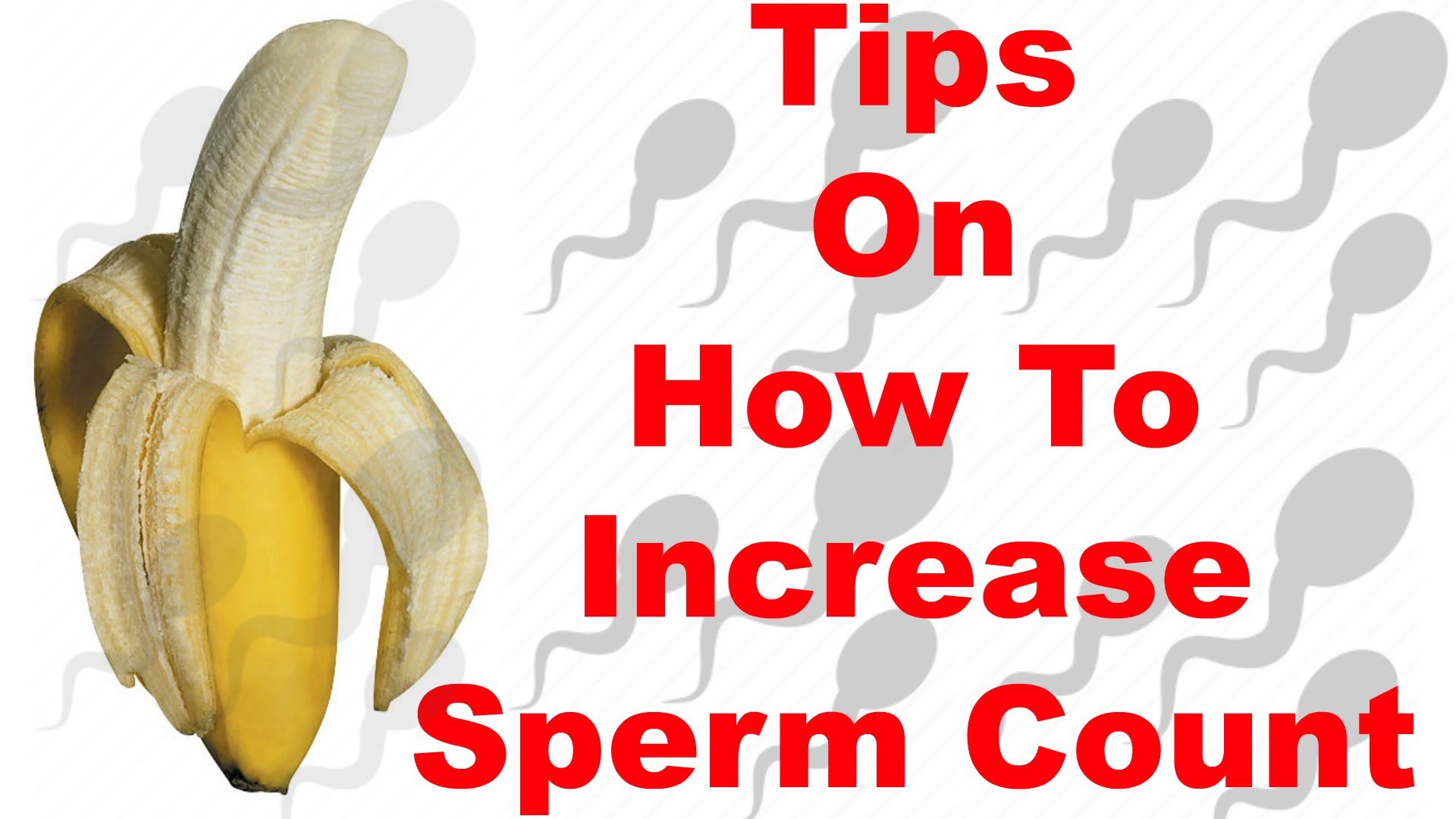 best of Increase sperm Count naturally