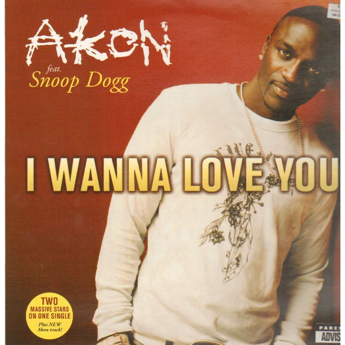 Akon feat fuck i u wanna