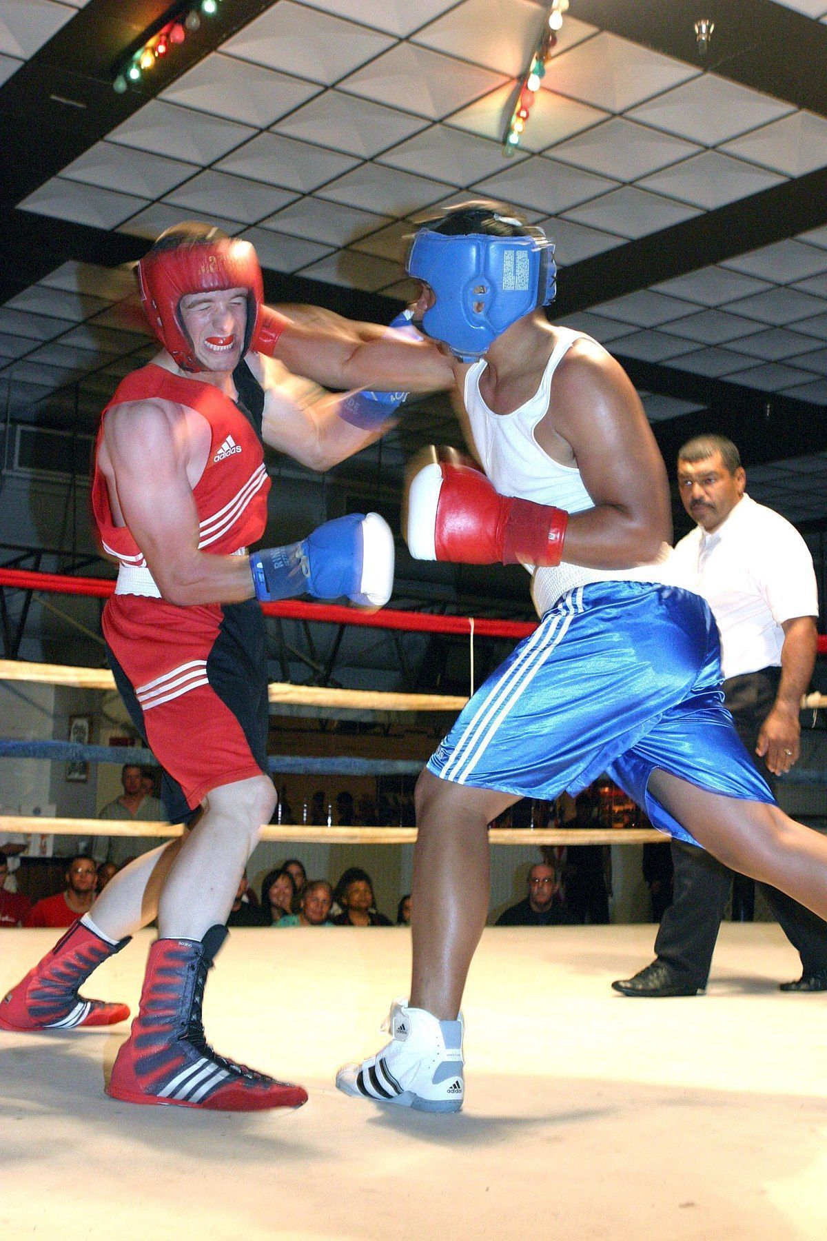 Boxing weight classes amateur and professional  image