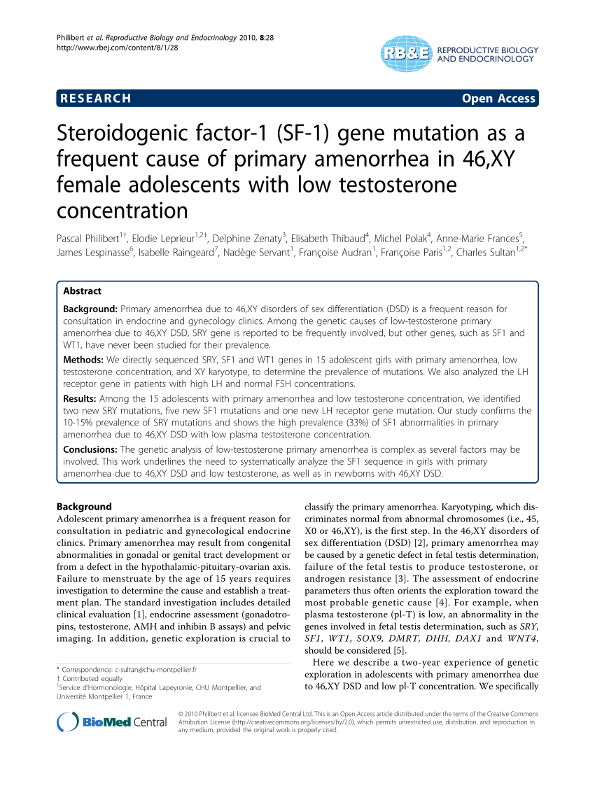 Concentration of x y sperm low testosterone