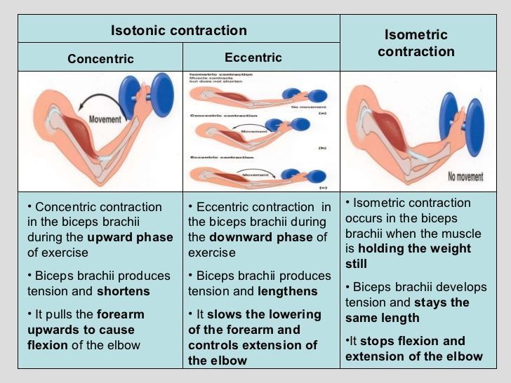 Contraction facial isotonic muscle