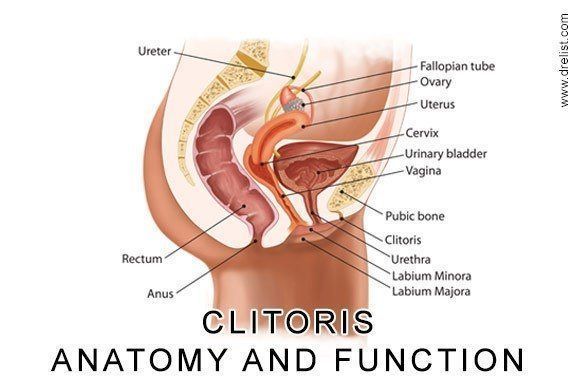 Saint reccomend Clitoris to penis surgery