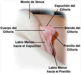 best of La El clitoris mujer de