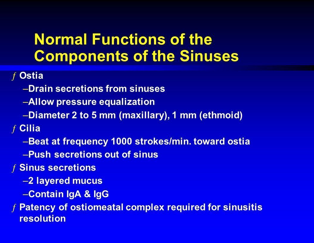 Snake reccomend Facial sinus function