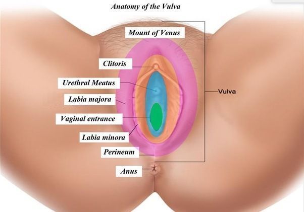 Fingers into my vagina