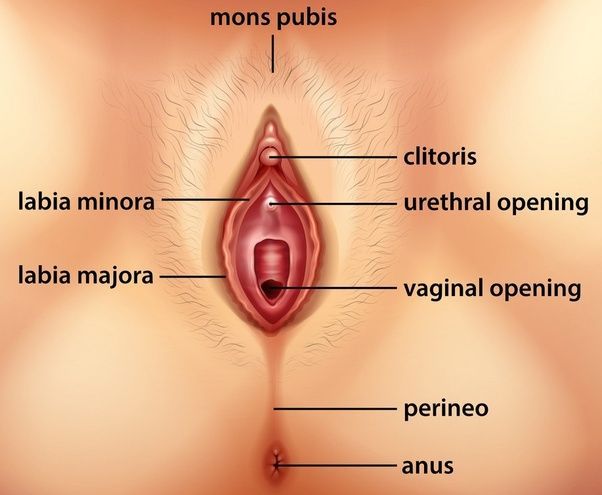 For the love of the clitoris