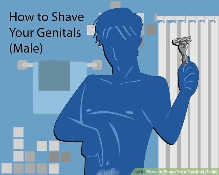 Should men shave there penis
