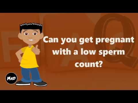 Sperm when pregnant